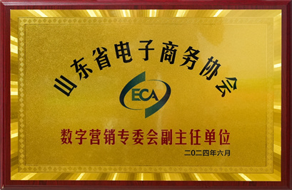 山东省电子商务协心数字营销专委会副主任单位