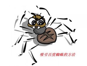 怎么样吸引百度蜘蛛抓取网站-烟台网站优化