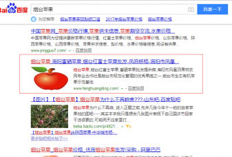 凤鸣杨格苹果关键词优化案例