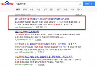 烟台裕生源关键词优化案例