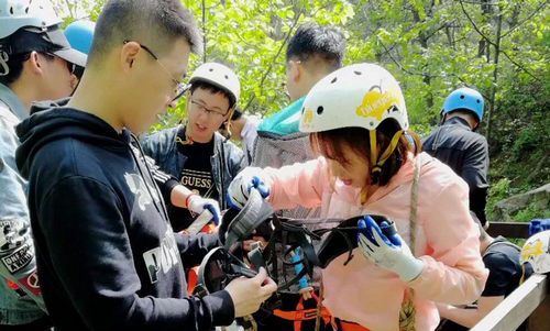 烟台智联网络朱雀山拓展活动