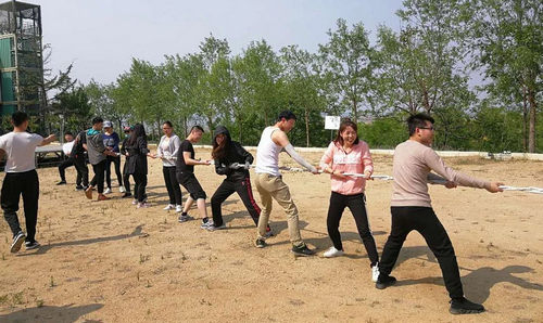 烟台智联网络朱雀山拓展