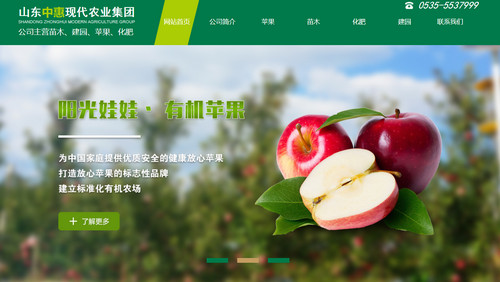 烟台网站建设案例